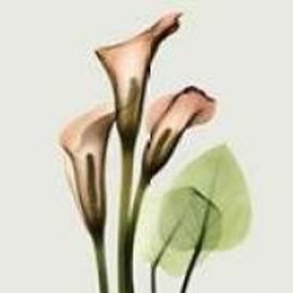 Meet your Posher, Deanna